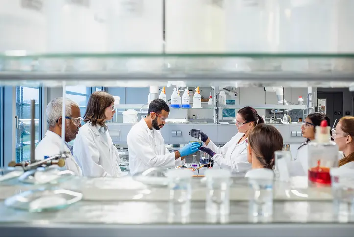 ¿Cómo elegir el producto ideal para tu industria?