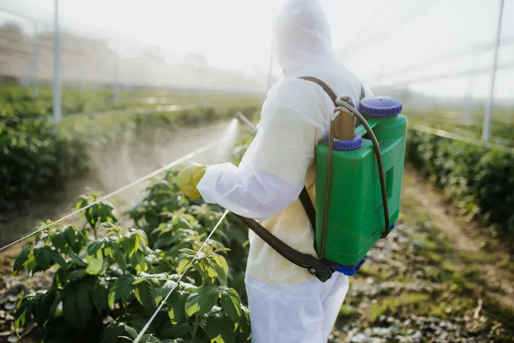 Química agroindustrial o agroquímica